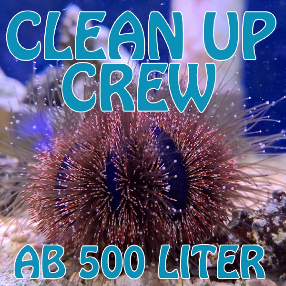 Komplete Clean UP Crew bis 500 Liter