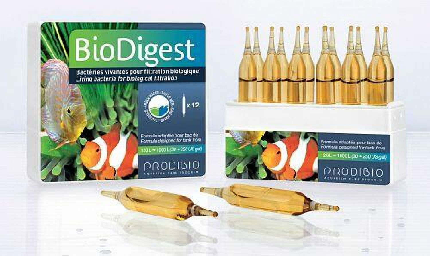 Prodibio BioDigest - 12 Ampullen - MW + SW