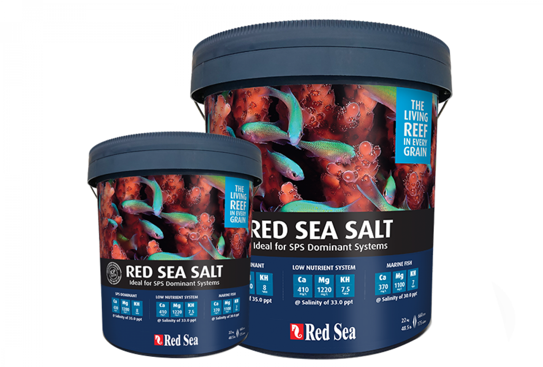 Red Sea Salz