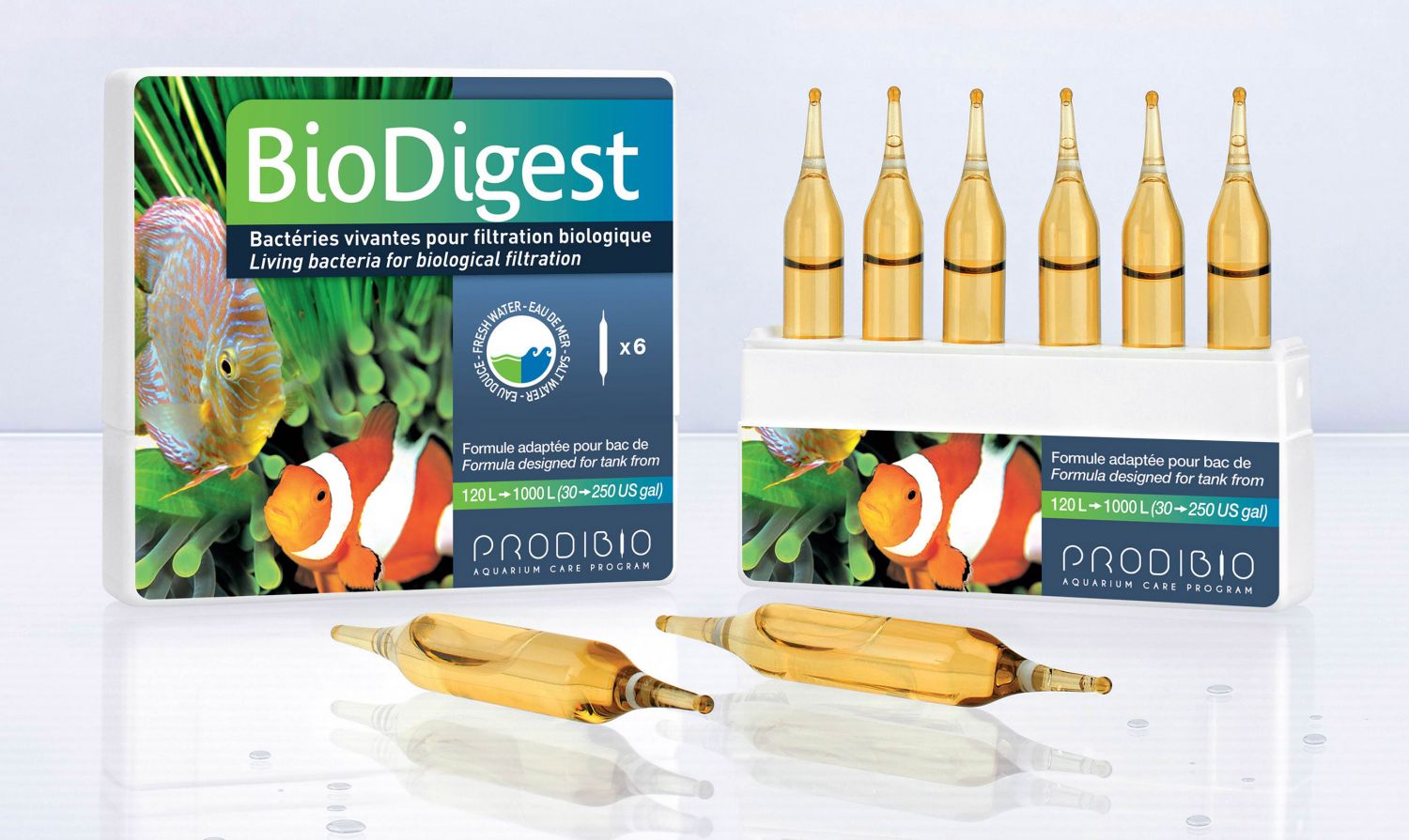 Prodibio BioDigest - 6 Ampullen - MW + SW