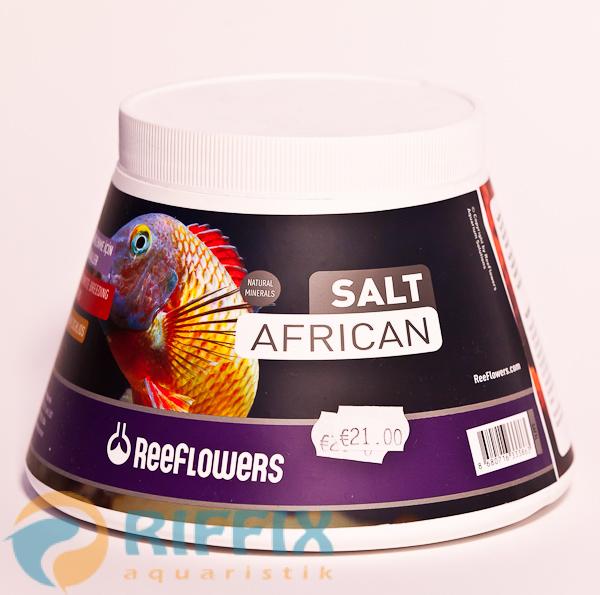 Reeflowers Salt African