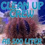 Komplete Clean UP Crew bis 500 Liter