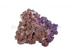 Real Reef Rock medium 1 Kg